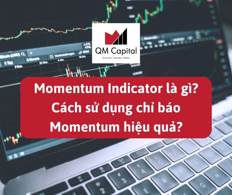 Momentum Indicator là gì? Cách sử dụng chỉ báo Momentum hiệu quả?